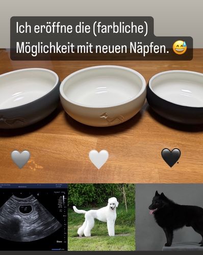 Und ein bisschen Beeinflussung. Den grauen Napf hab ich Bumbac natürlich erläutert ;)